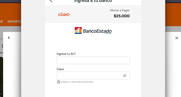 Inicia sesión con tu cuenta y autoriza el pago.